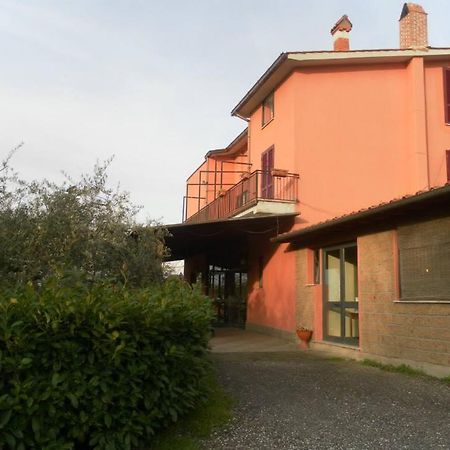 Il Contado B&B Castel Sant'Elia Esterno foto