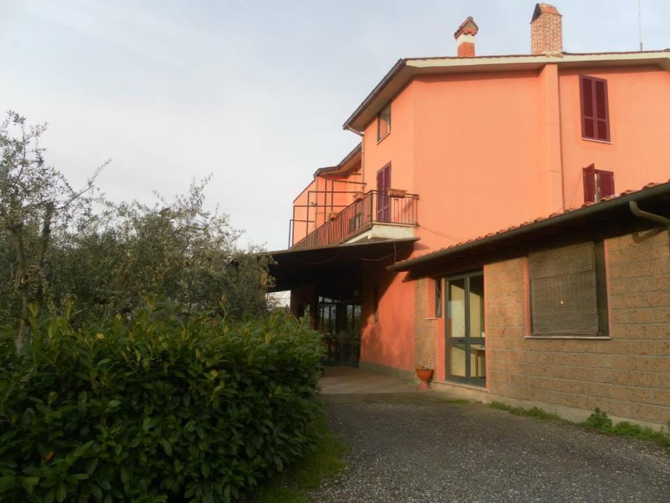 Il Contado B&B Castel Sant'Elia Esterno foto