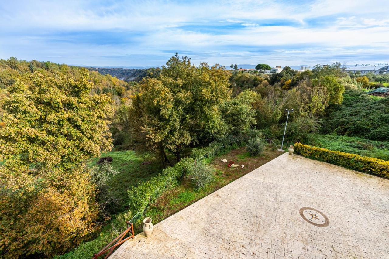 Il Contado B&B Castel Sant'Elia Esterno foto